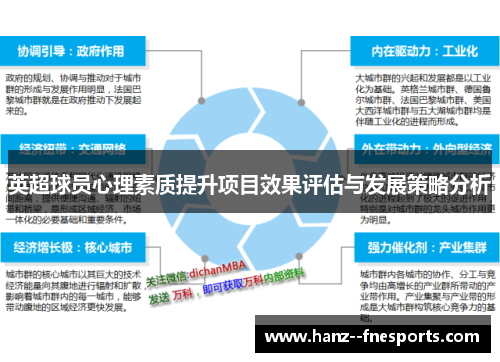 英超球员心理素质提升项目效果评估与发展策略分析